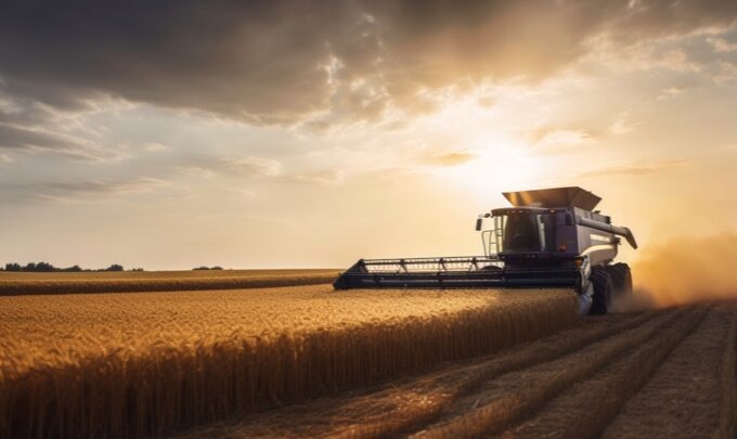 Combine harvester harvesting crop as the sun sets